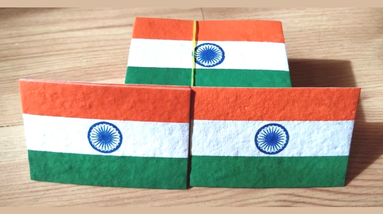 Celebrate Independence Day With A Cause: 5 Places Where You Can Buy Seed Flags