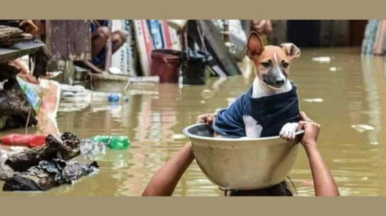 Kolhapur and Sangli Flood Relief: Here's How You Can Donate Food To People Affected In Maharashtra Kolhapur and Sangli Flood Relief: Here's How You Can Donate Food To People Affected In Maharashtra