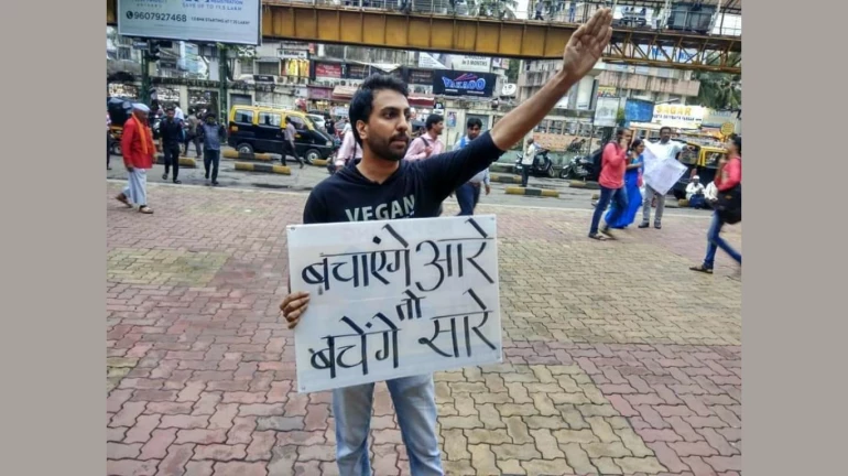 Activists write to Japanese PM to save Aarey Activists write to Japanese PM to save Aarey