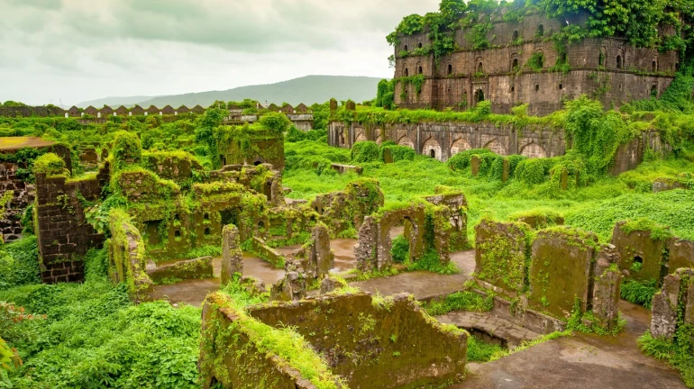 महाराष्ट्रातील गड-किल्ल्यांवर रिसाॅर्ट? विरोधकांचा संताप महाराष्ट्रातील गड-किल्ल्यांवर रिसाॅर्ट? विरोधकांचा संताप