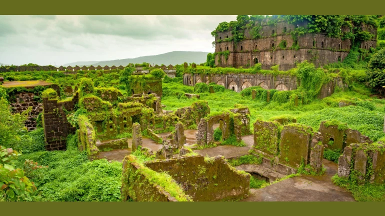 25,000 Tonnes Of Fodder Sent To Raigad Villages 25,000 Tonnes Of Fodder Sent To Raigad Villages