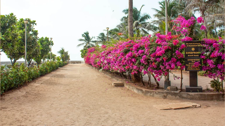 Mumbaikars will be able to get 24x7 access to 23 gardens in the city Mumbaikars will be able to get 24x7 access to 23 gardens in the city