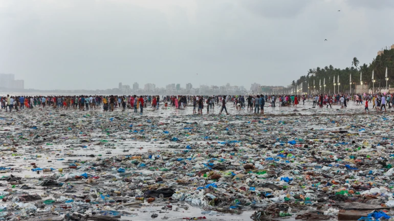 2050 तक समुद्र में मछलियों से ज़्यादा प्लास्टिक - IIT Bombay प्रोफेसर की रिसर्च रिपोर्ट
