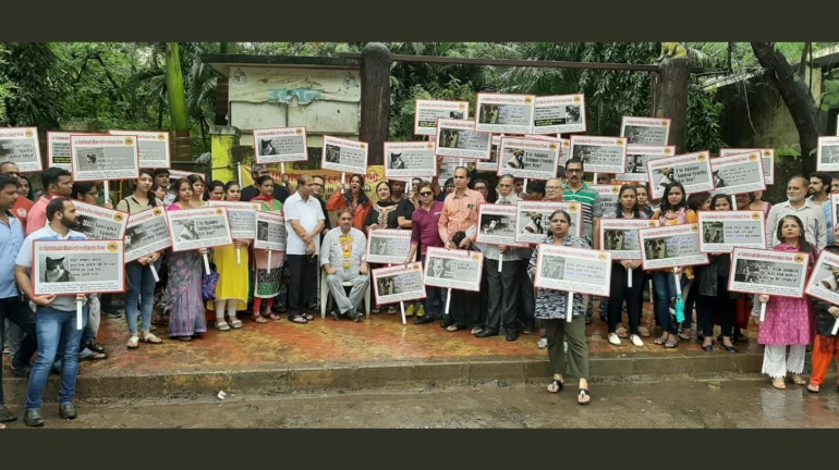 वर्सोवा मेंभारी बारीश में अनोखा आंदोलन  - “प्राणियों को भी भावनाए होती हैं” वर्सोवा मेंभारी बारीश में अनोखा आंदोलन  - “प्राणियों को भी भावनाए होती हैं”