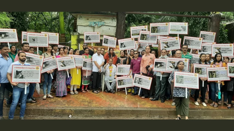 The Voice For The Voiceless: A Silent Protest Against Cruelty Towards Dogs The Voice For The Voiceless: A Silent Protest Against Cruelty Towards Dogs