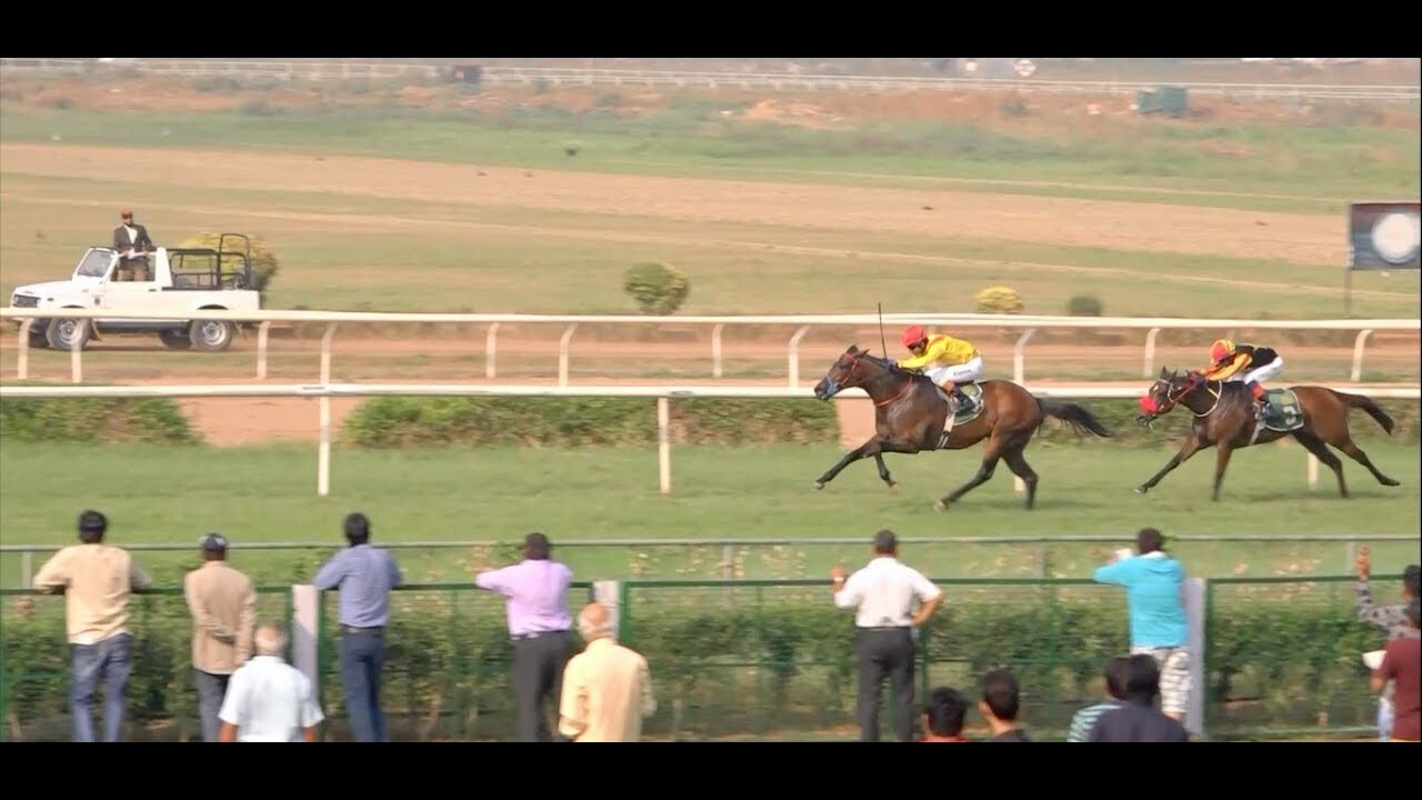 घोड्यांच्या शर्यतीवर बेकायदा बेटिंग करणाऱ्या ११ जणांना अटक