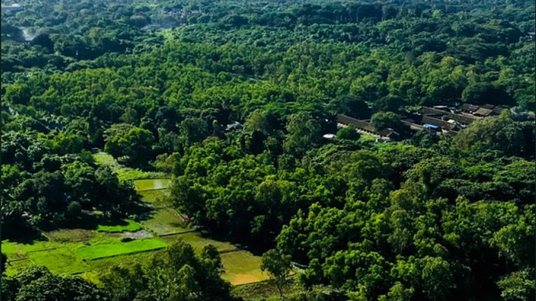 VBA joins the list of political parties against Metro car shed in Aarey VBA joins the list of political parties against Metro car shed in Aarey