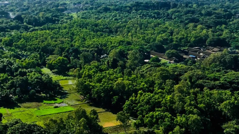 मेट्रो - 3 कार शेड आरे कॉलोनी से हटाकर कांजुरमार्ग करने के फैसले का आम आदमी पार्टी ने किया स्वागत मेट्रो - 3 कार शेड आरे कॉलोनी से हटाकर कांजुरमार्ग करने के फैसले का आम आदमी पार्टी ने किया स्वागत