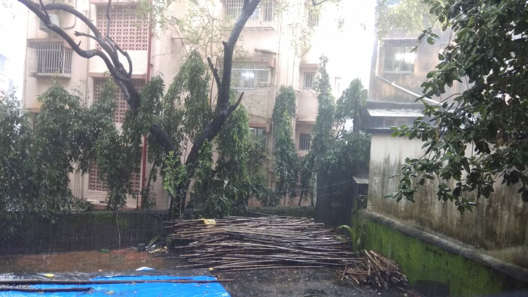 मुंबईसह उपनगरात जोरदार पावसाची हजेरी