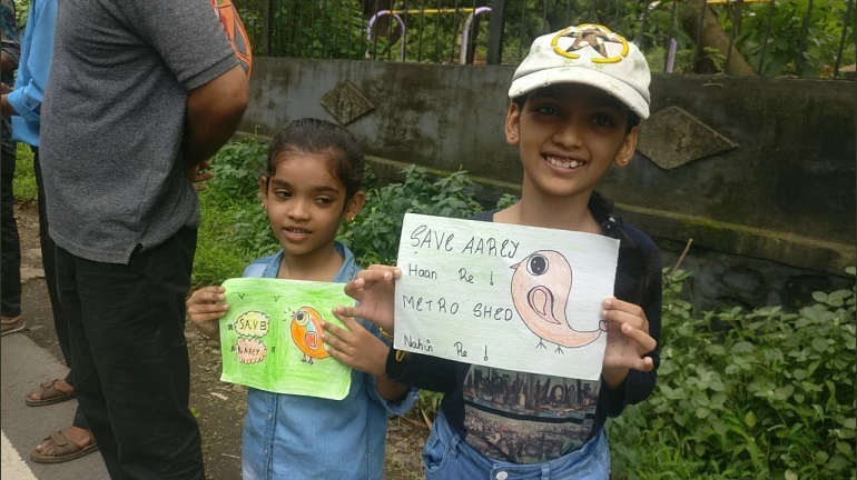 Section 144 imposed in Aarey colony, 29 people arrested Section 144 imposed in Aarey colony, 29 people arrested