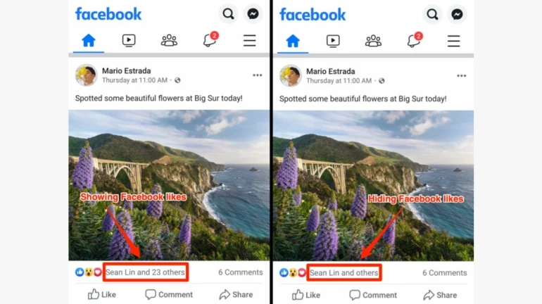 फेसबुकवरील लाईक्स आणि कमेंट्सचा गेम ओव्हर फेसबुकवरील लाईक्स आणि कमेंट्सचा गेम ओव्हर