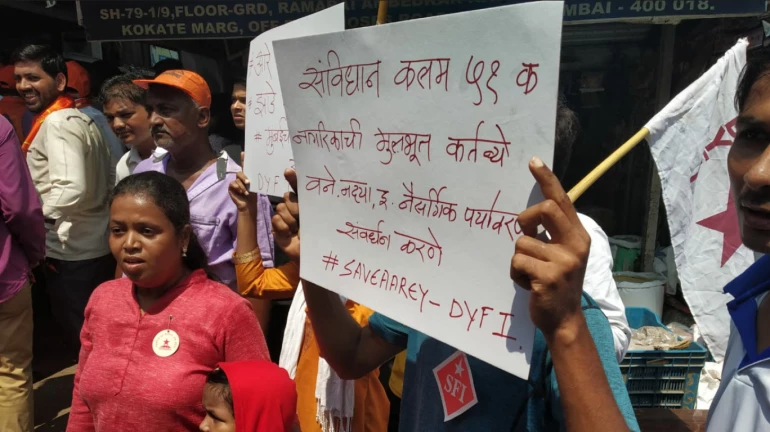 आरेतील वृक्षतोड प्रकरणी सुप्रीम कोर्टात सुनावणी आरेतील वृक्षतोड प्रकरणी सुप्रीम कोर्टात सुनावणी