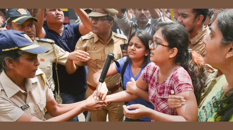 Save Aarey: 29 Activists Granted Bail After 2 Days In Custody Save Aarey: 29 Activists Granted Bail After 2 Days In Custody
