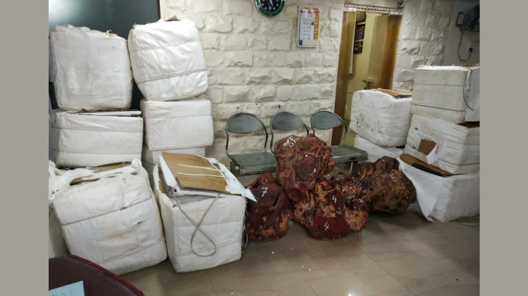 सांताक्रूज से दो गिरफ्तार, कर रह थे लाल चंदन की तस्करी सांताक्रूज से दो गिरफ्तार, कर रह थे लाल चंदन की तस्करी