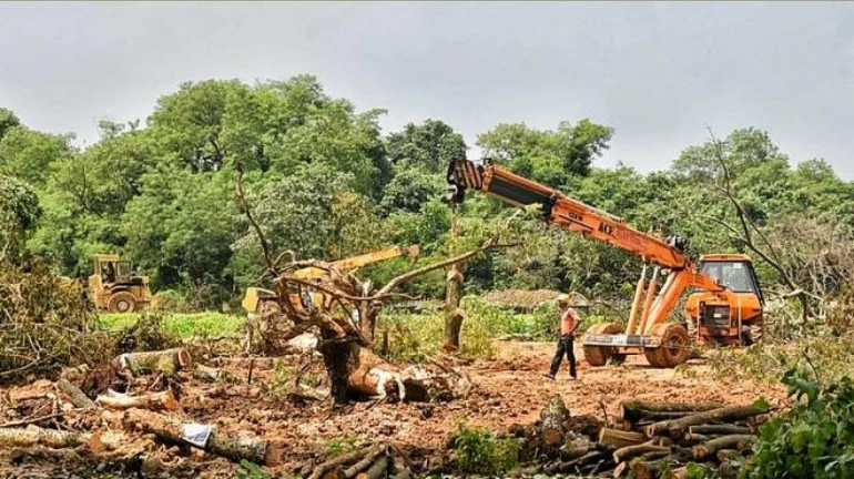 Metro Car Shed: Eknath Shinde-led BJP Govt reverses Thackeray's decision, shifts project back to Aarey Metro Car Shed: Eknath Shinde-led BJP Govt reverses Thackeray's decision, shifts project back to Aarey
