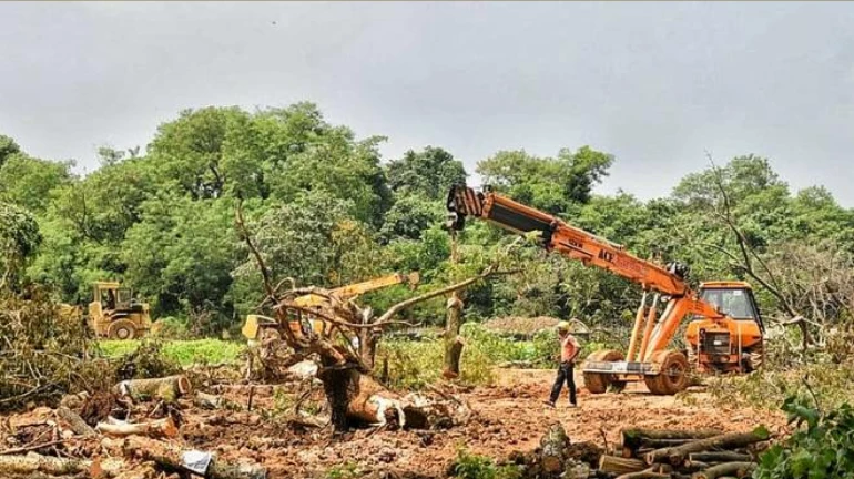 As "Save Aarey" Protest Goes National, Activists Get CrPC Notices