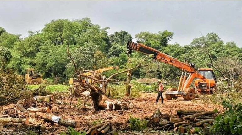 Central Groundwater Authority Rejects MMRCL’s Request for Use of Groundwater at Aarey Central Groundwater Authority Rejects MMRCL’s Request for Use of Groundwater at Aarey