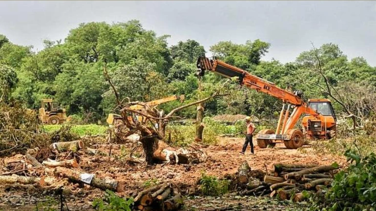 SC To Hear Plea Challenging Cutting Of Trees In Aarey Colony For Construction Of Metro Car Shed