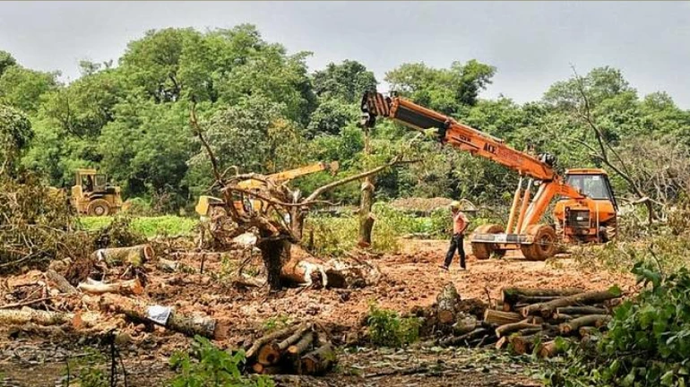 Aarey Protest: 2141 trees already cut; Mumbai Metro to start construction work Aarey Protest: 2141 trees already cut; Mumbai Metro to start construction work