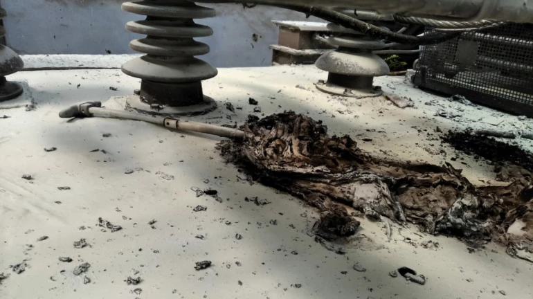 Video: एका बॅगने केली हार्बरसेवा ठप्प Video: एका बॅगने केली हार्बरसेवा ठप्प