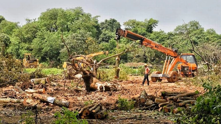 आरेतील कारशेडच्या कामावरील बंदी मुख्यमंत्री एकनाथ शिंदेंकडून मागे आरेतील कारशेडच्या कामावरील बंदी मुख्यमंत्री एकनाथ शिंदेंकडून मागे