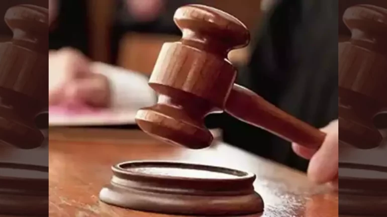 No tree cutting for Metro-4 project till December 3: Bombay High Court No tree cutting for Metro-4 project till December 3: Bombay High Court