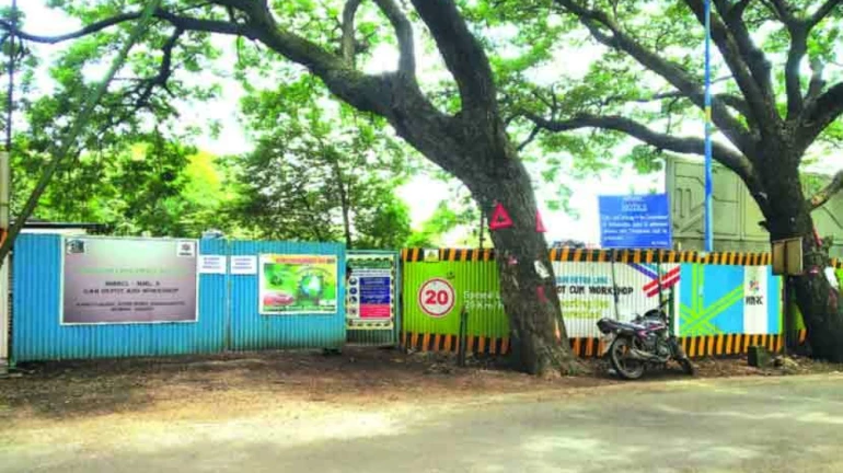 MMRDA Claims They Have Planted Over 51,151 tress around Mumbai MMRDA Claims They Have Planted Over 51,151 tress around Mumbai