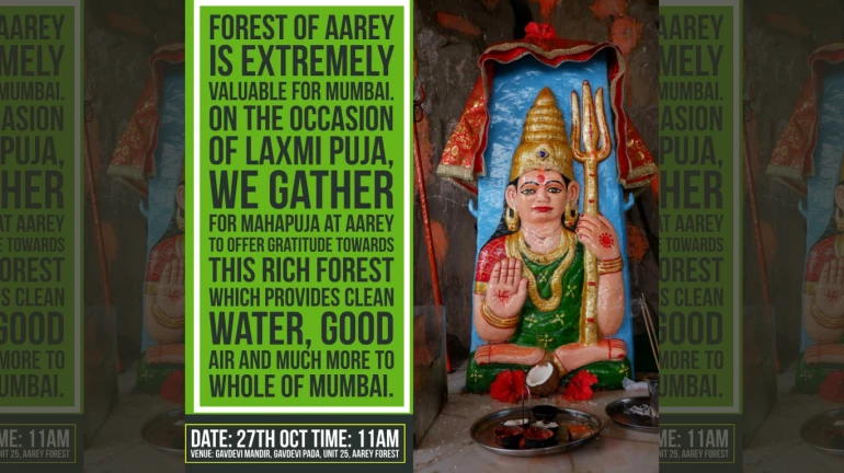 This Diwali, Adivasis At Aarey Organise A Laxmi Pooja For The Forest This Diwali, Adivasis At Aarey Organise A Laxmi Pooja For The Forest