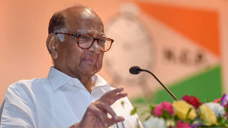 एनसीपी ने लोगों का दिल जीता - शरद पवार एनसीपी ने लोगों का दिल जीता - शरद पवार