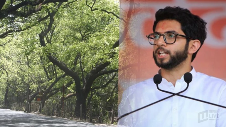 Twitterati remind Aaditya Thackeray about Aarey promises after Election victory