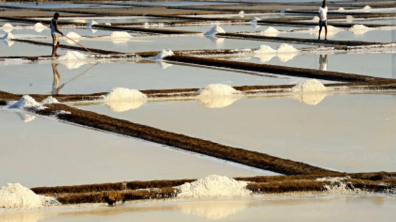 MMRDA to appoint consultant for its salt pan master plans