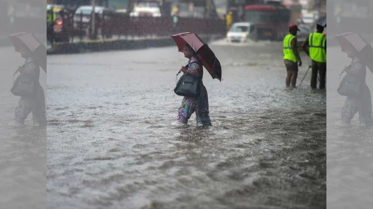 6 से 8 नवंबर के बीच हो सकती है बारिश 6 से 8 नवंबर के बीच हो सकती है बारिश