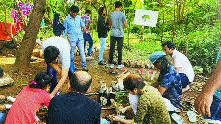 'एक बीज एक सावली' पर्यावरणप्रेमींचा नवा उपक्रम 'एक बीज एक सावली' पर्यावरणप्रेमींचा नवा उपक्रम
