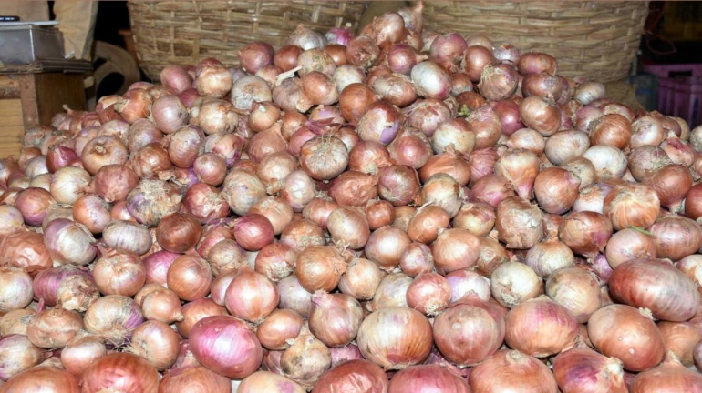 महापालिकेच्या 'या' रुग्णालयाला १६ रुपयांनी कांदे महापालिकेच्या 'या' रुग्णालयाला १६ रुपयांनी कांदे