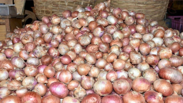 कांद्याचे दर घसरले; निर्यातीस परवानगीची मागणी कांद्याचे दर घसरले; निर्यातीस परवानगीची मागणी