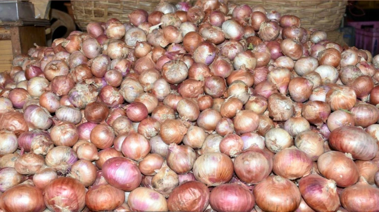 नवी मुंबई- प्याज व्यापारियों ने एक दिवसीय हड़ताल वापस ली नवी मुंबई- प्याज व्यापारियों ने एक दिवसीय हड़ताल वापस ली