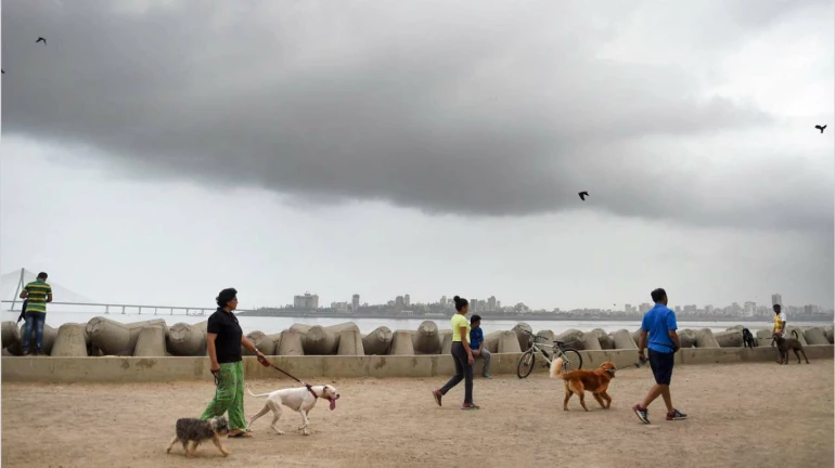 मुंबई की हवा थोड़ी हुई खराब, पर अभी भी संतोषजनक