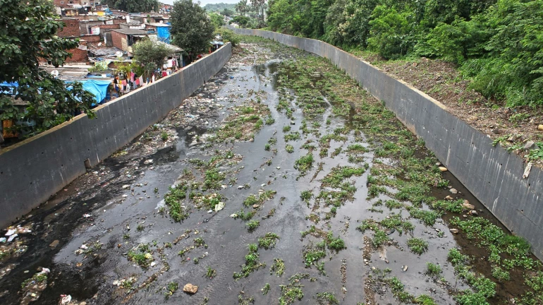 मेट्रो भवन, कारशेड मुंबईसाठी ठरणार धोकादायक मेट्रो भवन, कारशेड मुंबईसाठी ठरणार धोकादायक