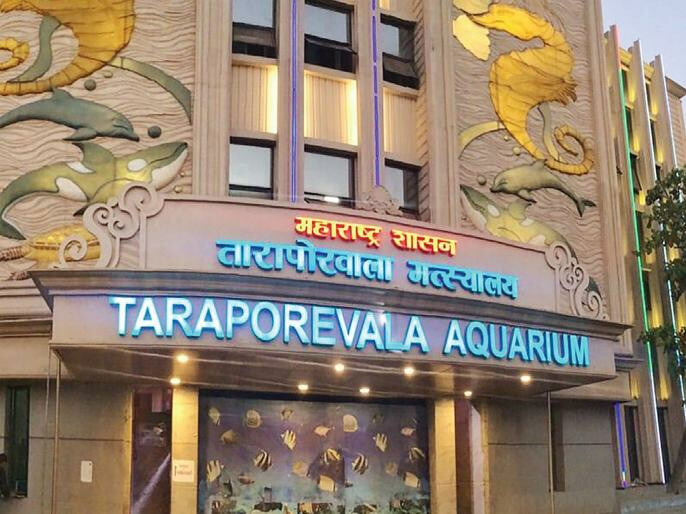 तारापोरवाला मत्स्यालयात मासे कमी, पर्यटक नाराज