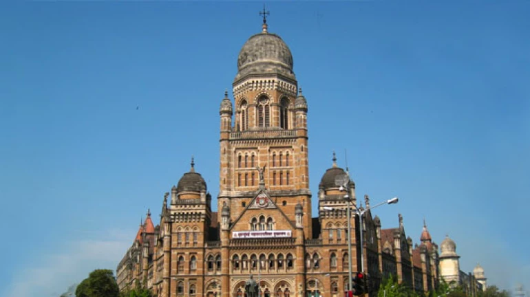 उच्च न्यायालयानं मुंबई महापालिकेला 'या' कारणामुळं फटकारलं उच्च न्यायालयानं मुंबई महापालिकेला 'या' कारणामुळं फटकारलं