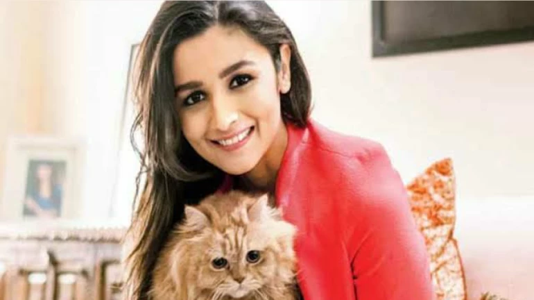 आलिया भट्टनं लाँच केलं स्वत:चं प्राॅडक्शन हाऊस आलिया भट्टनं लाँच केलं स्वत:चं प्राॅडक्शन हाऊस