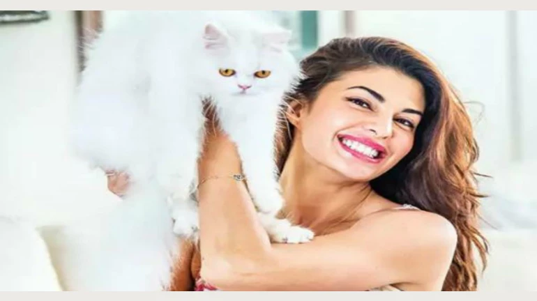 जैकलीन फर्नांडीज ने कोरोना के गिनवाए फायदे जैकलीन फर्नांडीज ने कोरोना के गिनवाए फायदे