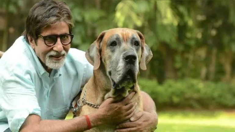 अमिताभ बच्चन वाली कोरोना कॉलर ट्यून हुई बंद अमिताभ बच्चन वाली कोरोना कॉलर ट्यून हुई बंद