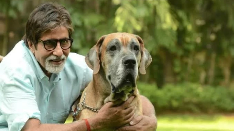 Veteran actor Amitabh Bachchan expresses concerns over turning blind