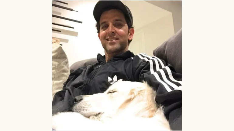 बॉलीवुड में ऋतिक रोशन के शानदार 20 साल हुए पूरे बॉलीवुड में ऋतिक रोशन के शानदार 20 साल हुए पूरे