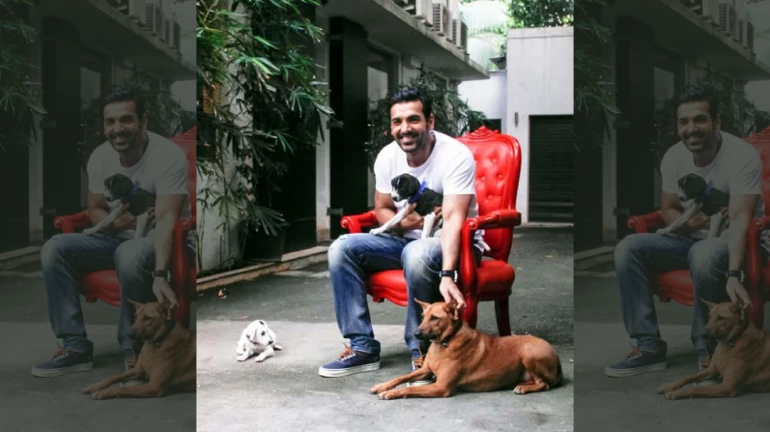 John Abraham announced as PETA India's 'Person of the Year' for 2020