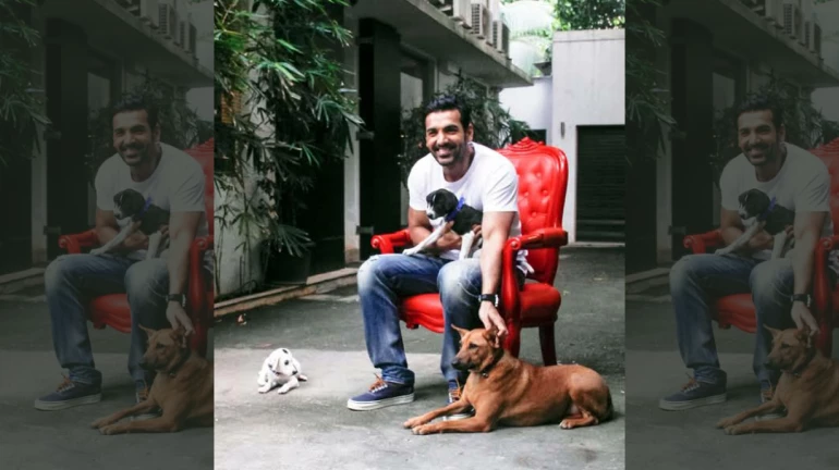John Abraham announced as PETA India's 'Person of the Year' for 2020 John Abraham announced as PETA India's 'Person of the Year' for 2020