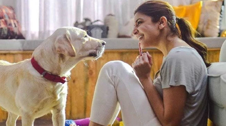 बॉलीवुड सेलेब्स के पालतू डॉग-कैट के अजीबो-गरीबो नाम बॉलीवुड सेलेब्स के पालतू डॉग-कैट के अजीबो-गरीबो नाम