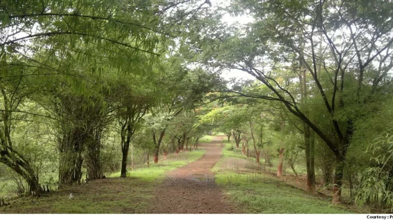 'आरे वाचवा' मोहिमेला पाच वर्षे पूर्ण 'आरे वाचवा' मोहिमेला पाच वर्षे पूर्ण