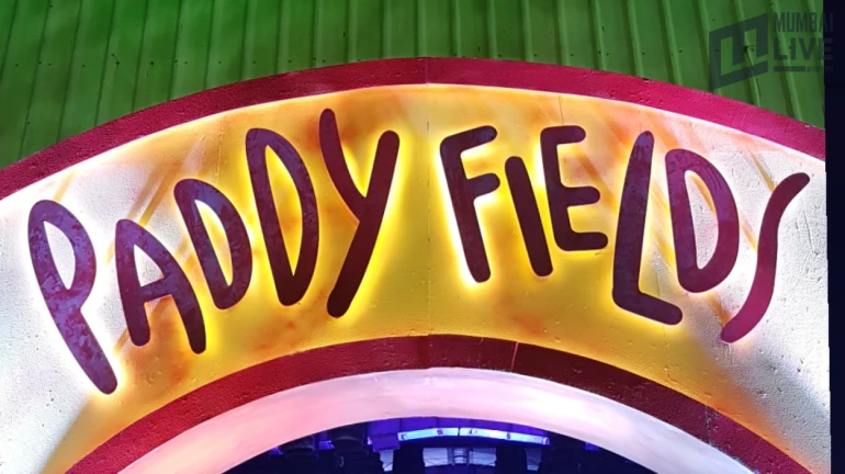 Paddy Fields 2019: Audience shower their love on the first day of the folk-fusion music festival Paddy Fields 2019: Audience shower their love on the first day of the folk-fusion music festival